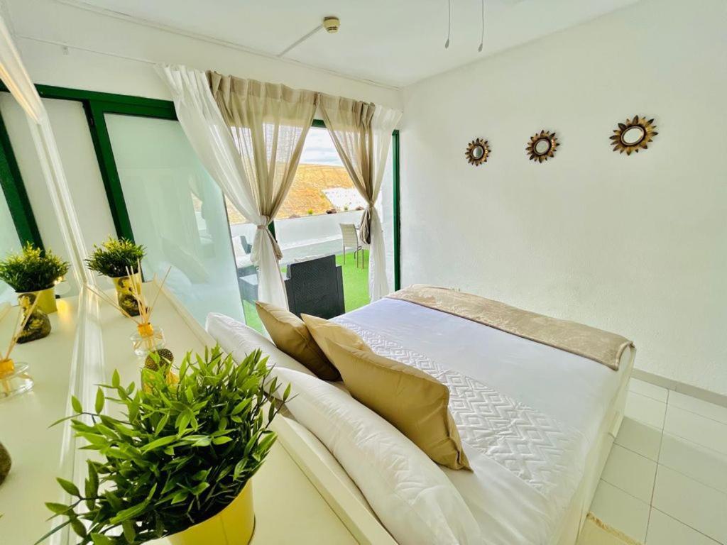 The Malibu Holiday Club Suite - Puerto Rico Puerto Rico  Exterior photo